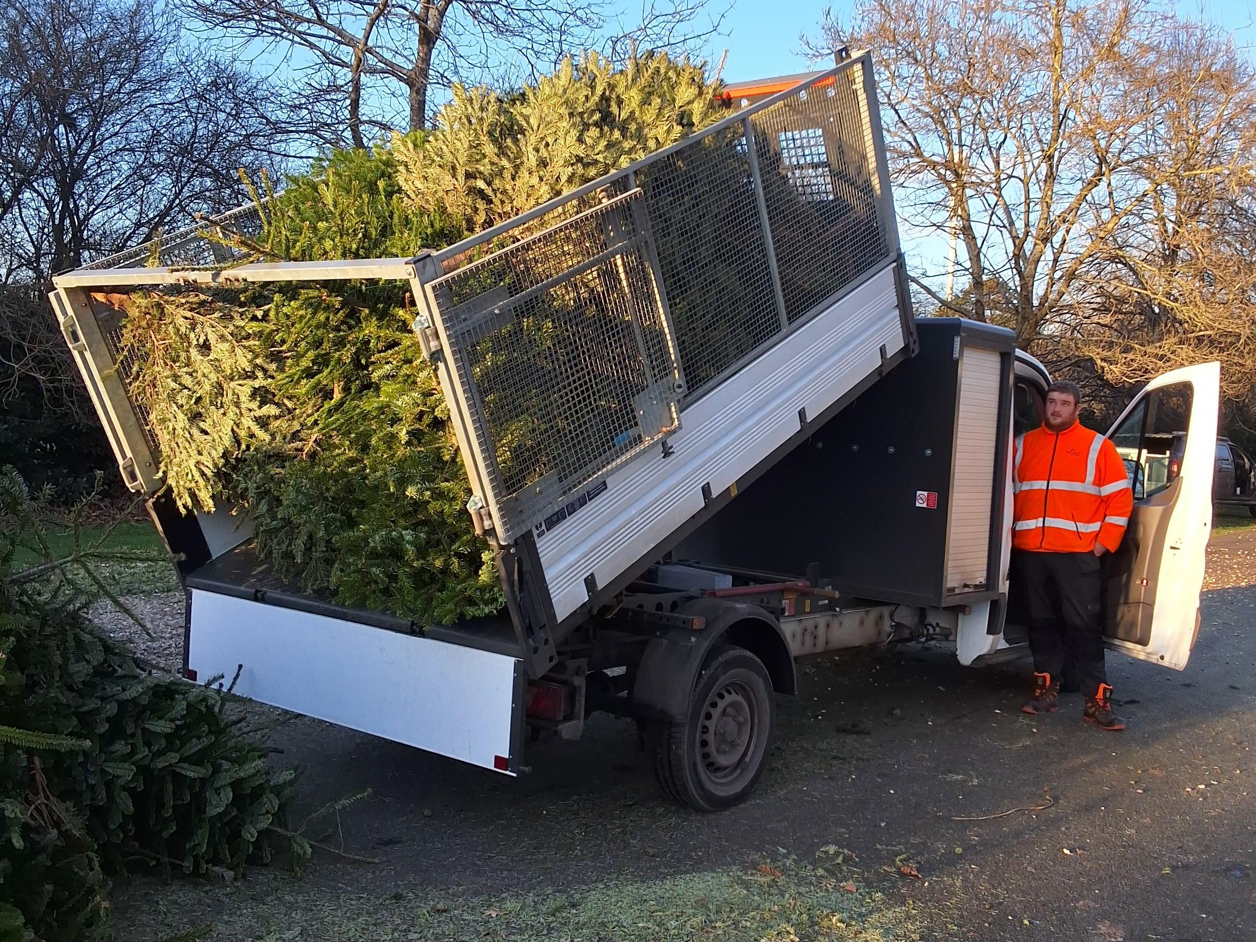 3. Neighbourhood gardener Callum Parkinson with a Flagship Services truck carrying used Christmas trees, collected for donations to East Anglia’s Children’s Hospices
