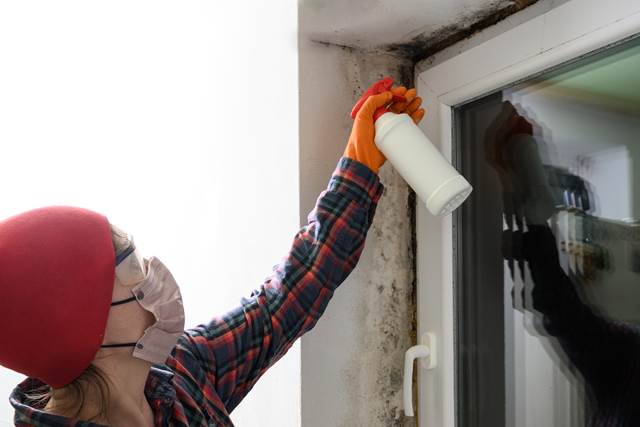 Person removing mould from window frame
