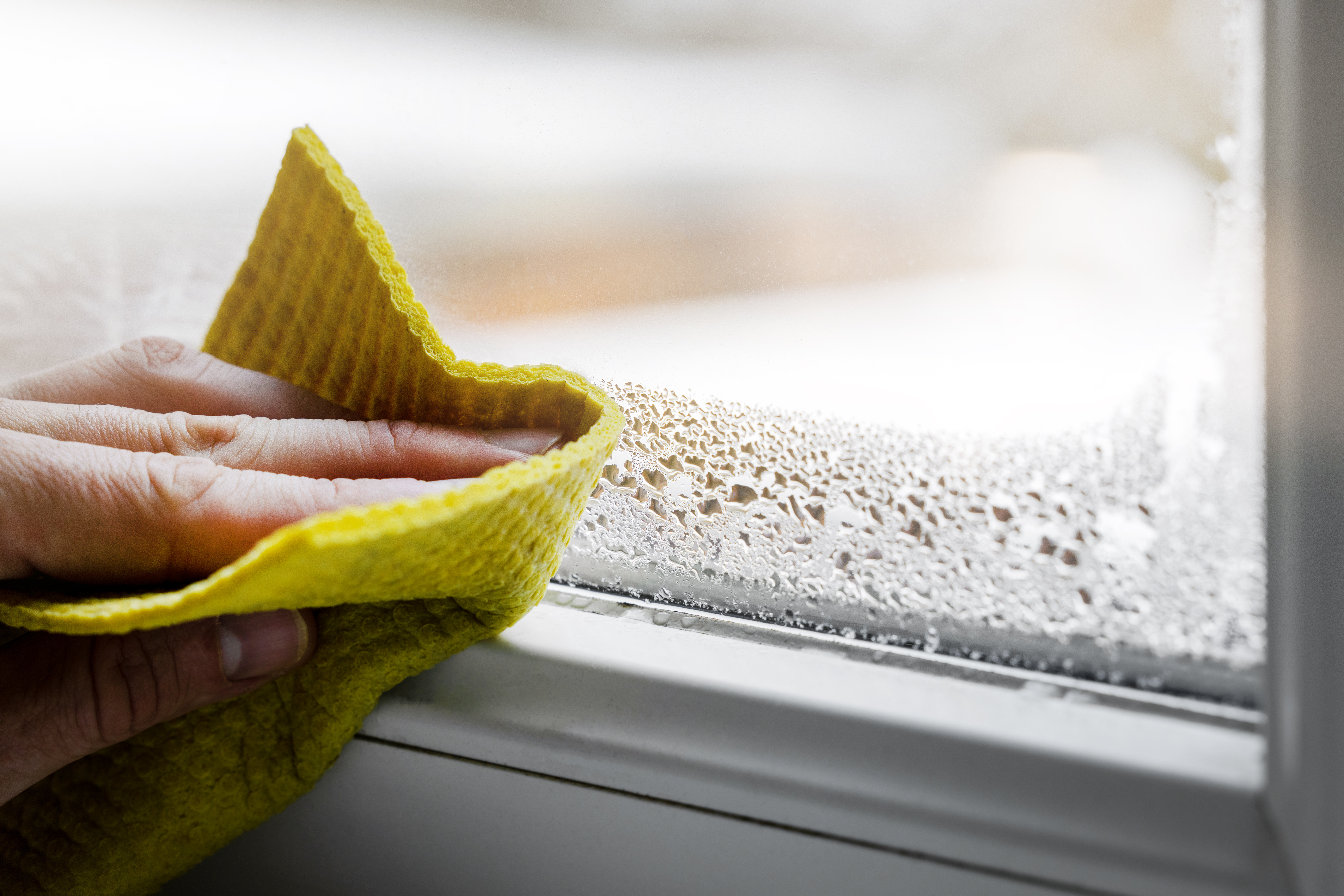 Keeping a lid on damp and mould in your home