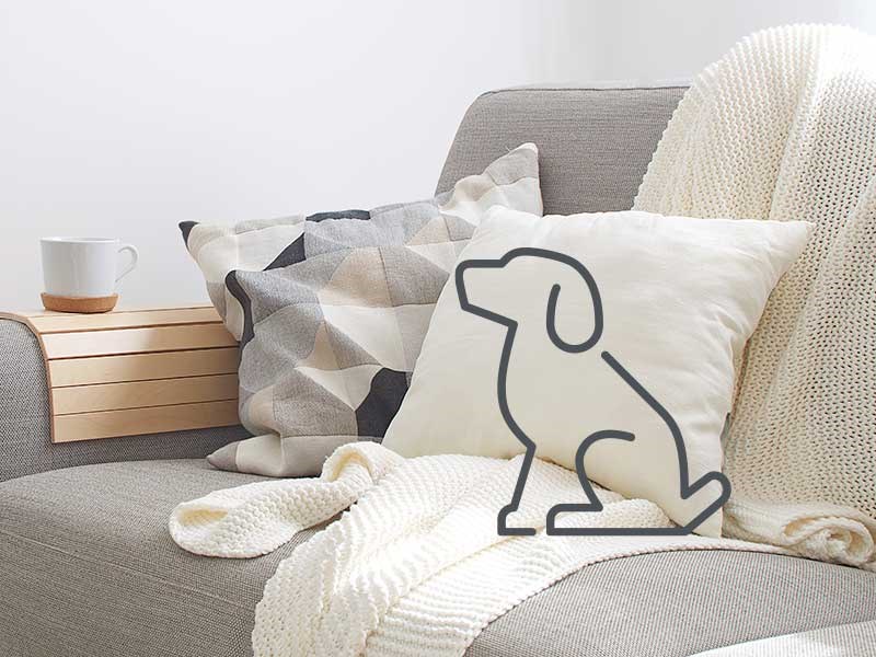 Image of sofa with dog icon overlaying