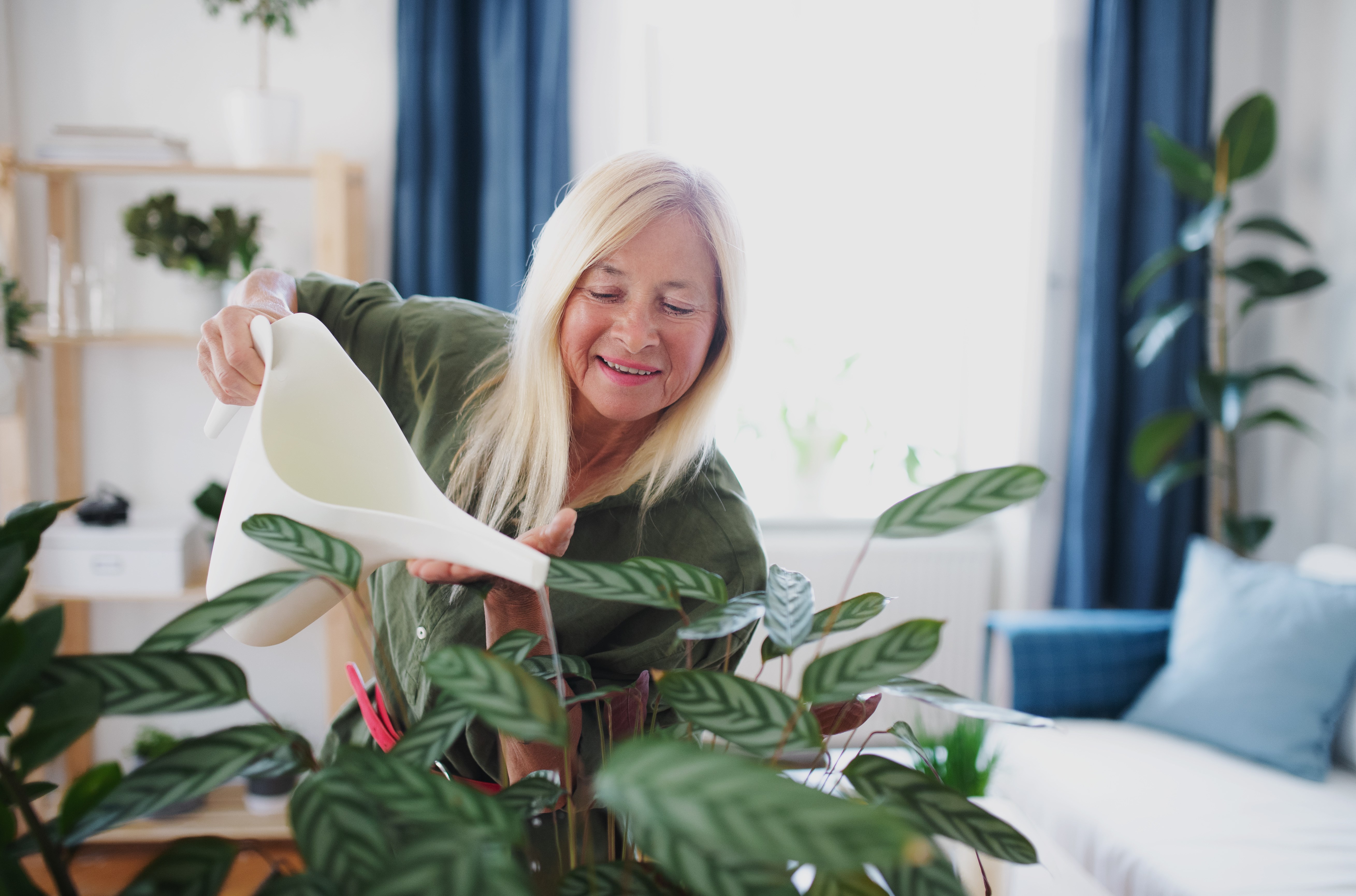 Woman watering plants